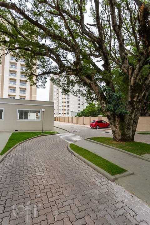 Image 41 - 250924